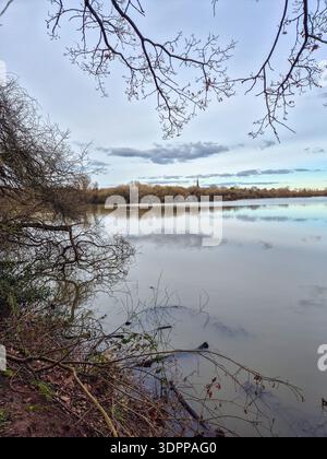 Un beau paysage matinal sur les zones humides de la réserve naturelle d'Attenborough à Nottingham, au Royaume-Uni. Banque D'Images