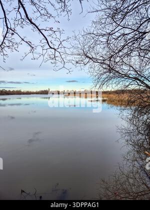 Un beau paysage matinal sur les zones humides de la réserve naturelle d'Attenborough à Nottingham, au Royaume-Uni. Banque D'Images