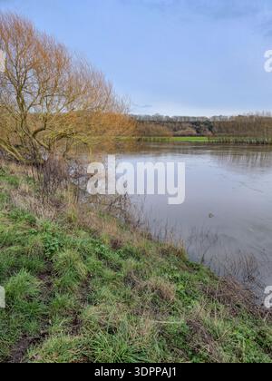 Un beau paysage matinal sur les zones humides de la réserve naturelle d'Attenborough à Nottingham, au Royaume-Uni. Banque D'Images
