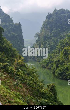 Une rivière calme serpente à travers un étroit canyon entre des montagnes escarpées et boisées sous la lumière du jour brumeuse. Banque D'Images