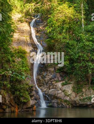 Une étroite cascade coule sur la roche exposée dans une piscine d'eau douce calme entourée d'une forêt tropicale dense. Banque D'Images