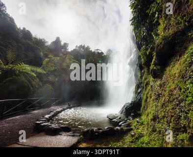 Cascade dans le Parque Natural da Ribeira dos Caldeiroes, Sao Miguel, Açores, Portugal Banque D'Images