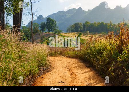 Un chemin de terre courbe à travers de hautes herbes et une végétation basse vers des collines boisées et des montagnes sous la lumière du jour clair. Banque D'Images
