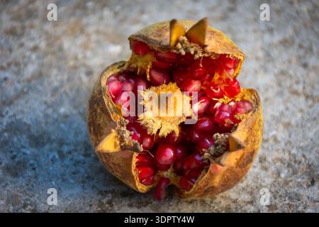 Les fruits de grenade mûrs se sont fendus grand ouvert, révélant des graines rouges vibrantes sur une surface de pierre. Banque D'Images