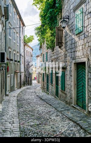 Rue pavée étroite à Risan, Monténégro. Des bâtiments en pierre avec volets verts bordent la rue. La végétation luxuriante ajoute du charme à la scène historique. Banque D'Images