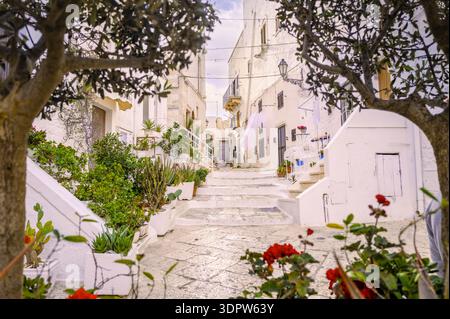 Ruelle blanchie à la chaux avec marches en pierre et pots de fleurs dans le centre historique d'Ostuni. Brindisi, Pouilles, Italie, Europe. Banque D'Images