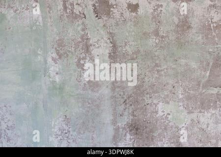 Surface murale affichant des motifs et des textures en nuances de vert et de gris Banque D'Images