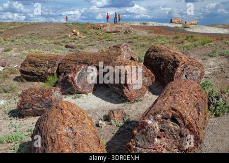 Petrified Forest National Park, AZ Banque D'Images