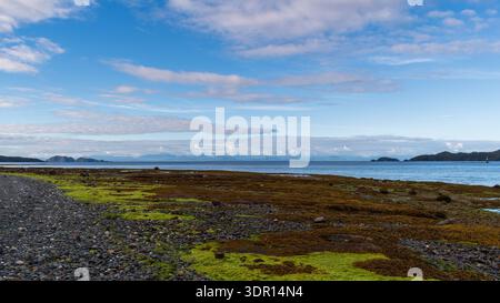 Une vue à marée basse sur la plage rocheuse de Port Hardy, couverte d’herbes côtières vertes et brunes et d’algues avec de l’eau et des montagnes lointaines au-delà. Banque D'Images