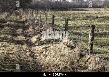 Rhede, NRW, Allemagne, sentier rural avec une clôture rustique de fil barbelé bordant un grand champ agricole Banque D'Images