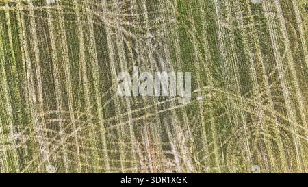 Traces de tracteur Banque D'Images