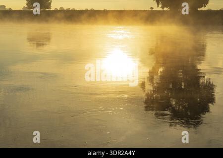 Matin avec brouillard sur l'Elbe au lever du soleil, Radebeul, Saxe, Allemagne Banque D'Images
