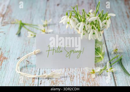 Carte vintage fleurie Hello Spring. Premières fleurs blanches sauvages en forme de goutte de neige (Galanthus nivalis) avec étiquette sur fond de bois rustique. Bouquet de floraison sn Banque D'Images