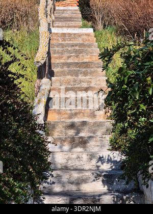 Ancien escalier en pierre menant à travers un jardin verdoyant luxuriant. Banque D'Images