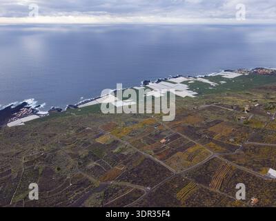 Vue aérienne du paysage contrasté où la terre volcanique sombre rencontre les champs agricoles lumineux, bordant le vaste océan bleu, la Palma, cana Banque D'Images