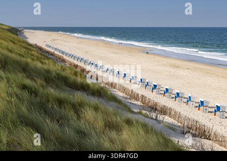 Des chaises de plage se dressent dans une rangée sur la plage de Sylt Banque D'Images