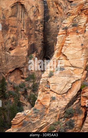 Falaises de grès s'élevant au-dessus du Refrigerator Canyon le long du sentier du plateau ouest. Parc national de Zion, Utah Banque D'Images