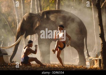 Deux boxeurs Muay Thai combattant à côté d'un éléphant dans la brume au crépuscule, Thaïlande Banque D'Images