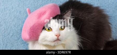 Beau chat noir et blanc portant un béret rose couché sur une couverture bleue Banque D'Images
