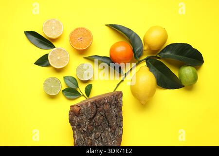 Arbre fait avec des agrumes, des feuilles et de l'écorce sur fond jaune, plat Banque D'Images