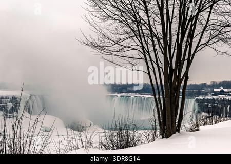 Une vue hivernale sereine des chutes du fer à cheval à Niagara Falls, Ontario, Canada, encadrée par un arbre sans feuilles proéminent au premier plan Banque D'Images