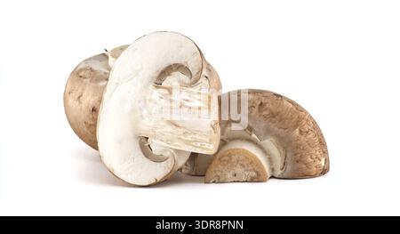 Un gros plan des champignons cremini entiers et tranchés avec leurs chapeaux bruns distinctifs et leurs branchies blanches, présentés sur un fond blanc propre Banque D'Images