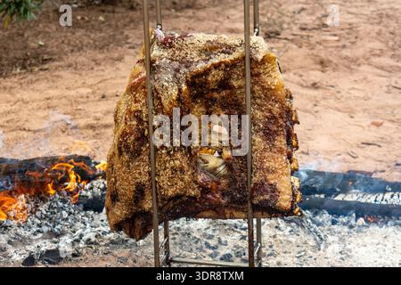 Vue détaillée de côtes de bœuf assaisonnées de torréfaction de gros sel sur un feu traditionnel au sol à Florestopolis Parana Brésil Banque D'Images