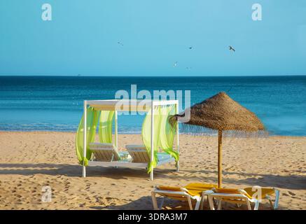 Rangées de chaises longues et parasols sur la plage de sable Banque D'Images