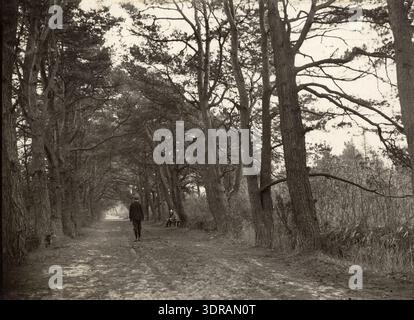 Cette photographie d'avant 1913 représente un homme debout sur le Spanjaardslaan à Laag-Soeren sur le Veluwe, aux pays-Bas. L'image montre l'individu en tenue d'époque, l'environnement de la rue, la végétation voisine et le paysage rural environnant, reflétant la vie locale et le paysage néerlandais du début du XXe siècle. Banque D'Images