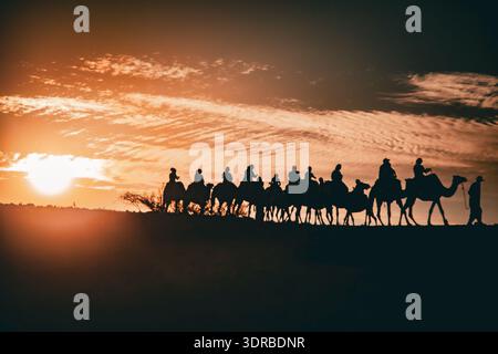 Silhouette de l'homme menant la ligne de chameaux dans le désert au coucher du soleil au Maroc Banque D'Images