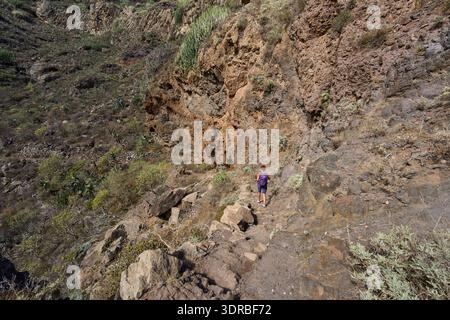 Vue aérienne d'une randonneuse solitaire avec un sac à dos violet marchant le long d'un sentier rocheux à travers le ravin Barranco de Chamorga à Anaga, Tenerife, surr Banque D'Images