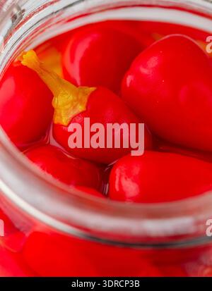 Piment rouge chaud. Piri piri gros plan. Poivrons marinés dans un bocal en verre. Une collation gourmande pour la viande et la volaille. (Capsicum chinen Banque D'Images