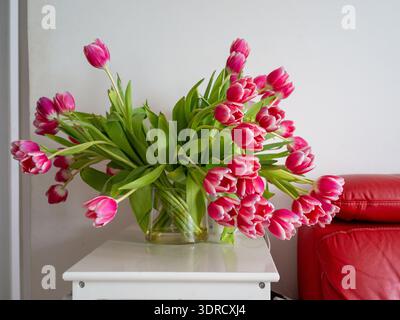 Bouquet de fleurs de tulipe rose affichage de tulipes de printemps près du canapé rouge sur la petite table blanche, tiges fraîches et vibrantes Banque D'Images