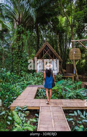 Explorer un sentier serein en bambou dans une forêt tropicale luxuriante, entouré de verdure et de nature vibrante Banque D'Images