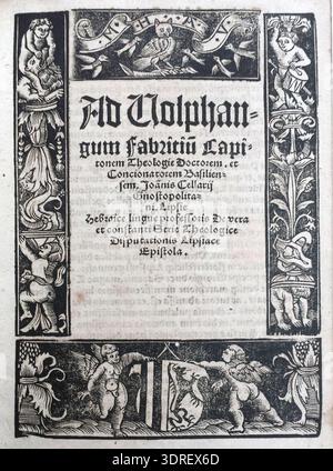 Cette page de titre illustrée a été imprimée à Leipzig par Martin Landsberg en 1519 pour l'œuvre latine de Joannes Cellarius 'ad Uolphangum Fabritu Capitonem'. Le livre de quatre pages présente une bordure gravée sur bois créée à partir de quatre blocs, représentant un hibou, une ornementation grotesque et un putti tenant un bouclier. Les initiales 'M.H.A.V.' apparaissent dans la bordure. La page combine des techniques de gravure sur bois et de typographie, reflétant la conception de livres européens du début du XVIe siècle, l'ornementation et les méthodes d'impression. Banque D'Images