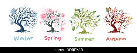 Un arbre à différents moments de l'année. Dessiné à la main. Pas ai, illustration vectorielle. Illustration de Vecteur