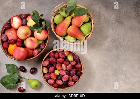 Pommes, poires et prunes dans des paniers sur une table en bois ensoleillée, fond d'action de grâce, récolte du village, conce alimentaire naturel sain Banque D'Images