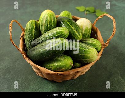 Concombres frais dans un panier sur une table en béton, récolte du village, recette de marinage maison, concombres et ingrédients de marinage, maison Banque D'Images