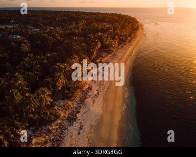 Vue aérienne du paysage côtier des Maldives avec des palmiers et coucher de soleil ou lever du soleil. Banque D'Images
