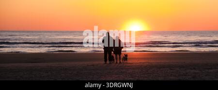 Couple et chien profitant d'une promenade au coucher du soleil le long de la plage au Danemark Banque D'Images