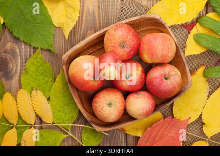 Pommes et feuilles d'automne Banque D'Images
