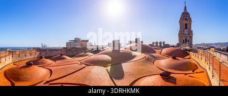 Malaga, Espagne. Large vue panoramique sur les structures de dôme en briques sur le toit de la cathédrale de Malaga avec le clocher historique. Archi municipal traditionnel Banque D'Images