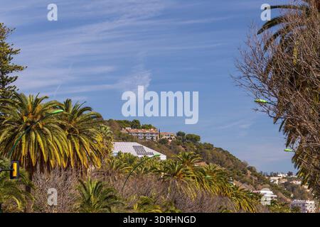 Malaga Espagne vue grand angle du paysage de la ville côtière avec des palmiers verts et des bâtiments résidentiels sur une colline sous un ciel bleu clair pendant un b. Banque D'Images