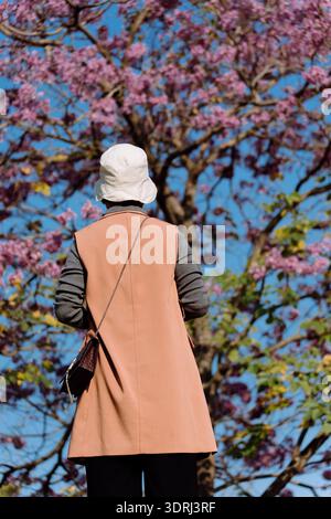 Personne portant un manteau beige et un chapeau blanc debout sous l'arbre à fleurs rose contre le ciel bleu Banque D'Images