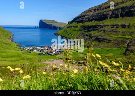 Vue panoramique sur la côte des îles Féroé avec des collines verdoyantes et un charmant village Banque D'Images