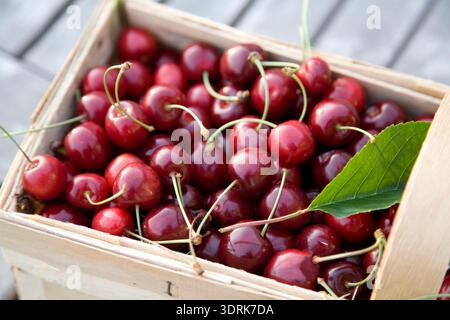 Panier avec cerises Banque D'Images