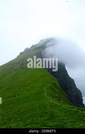 Majestueux sommet de montagne vert entouré de brume sur le paysage des îles Féroé Banque D'Images