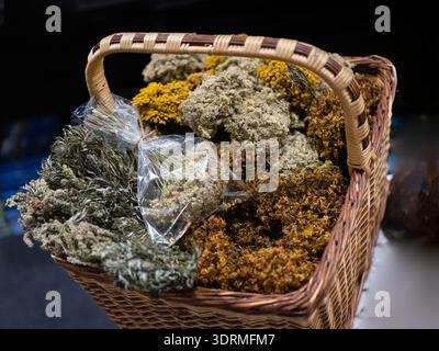 Diverses herbes médicales séchées et fleurs, et tisane. Banque D'Images