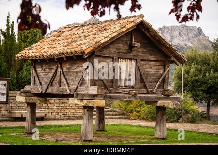 Typique de hórreo leones, Riaño, province de León, communauté autonome de Castille-et-León, chaîne de montagnes cantabrique, Espagne Banque D'Images