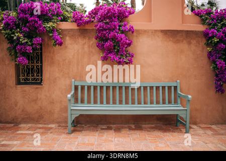 Banc en bois devant un mur texturé orné de fleurs de bougainvilliers violets vibrants, créant une assise extérieure sereine Ar Banque D'Images